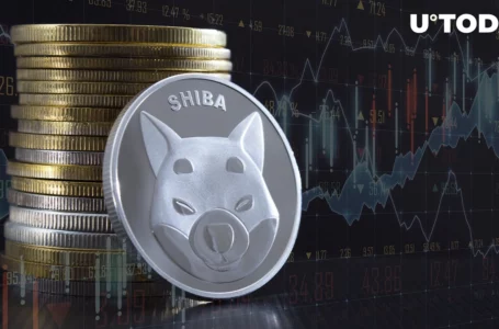 SHIB Large Transactions up Whopping 479%, What’s Happening?