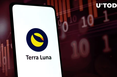 Terra’s Team Allegedly Destroyed UST by Itself: Expert
