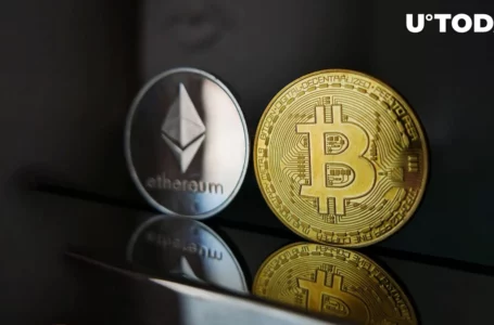 200,000 BTC, More Than 1,000,000 ETH Left CEXes: Details