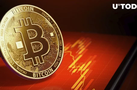 Price Update: Bitcoin Falls Below $17,000 Threshold