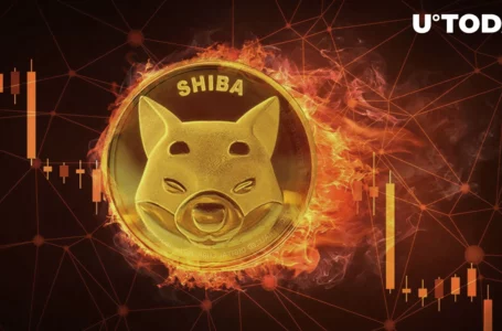 Shiba Inu (SHIB) Burn Rate Flashes 900% Rise, What’s Happening?