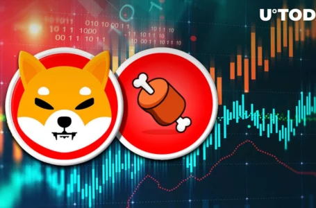 Shiba Inu’s BONE Trading Volume Suddenly up 70%, This Might Be Reason