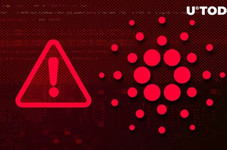 Cardano Scam Alert: Impersonators Use Privacy Token Midnight’s Fake Site to Drain Wallets