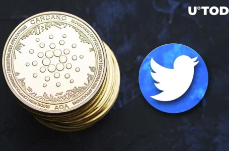 Cardano Mainly Hated by These 3 Groups on Twitter: Prominent ADA-Focused Account