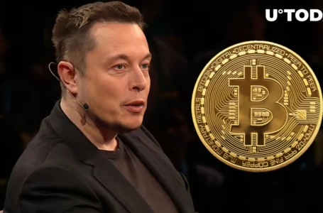 Bitcoin Sees Another Threat? – Elon Musk Just Might Be Hinting At This