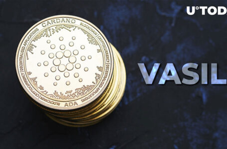 Cardano: Vasil Introduced Plutus V2 Scripts Gain Traction, Here’s Number
