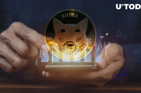 SHIB Large Transactions Jump 300% as SHIB Sets New Record in This Metric