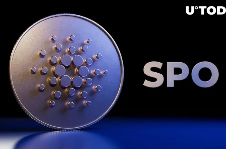 Cardano’s First SPO Liquidity Bond Funded and Launched Successfully