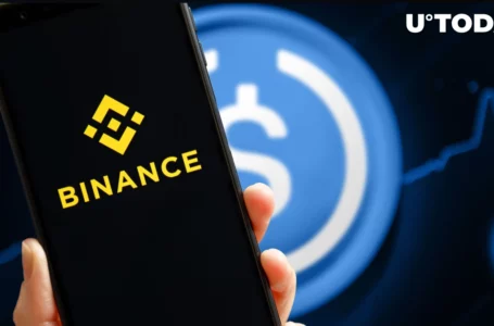 Binance Pauses USDC Withdrawals, Here’s What’s Happening