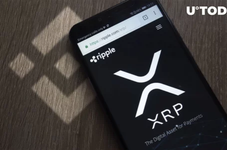 Astonishing 300 Million XRP Moved from Binance, Here’s Why and Where To