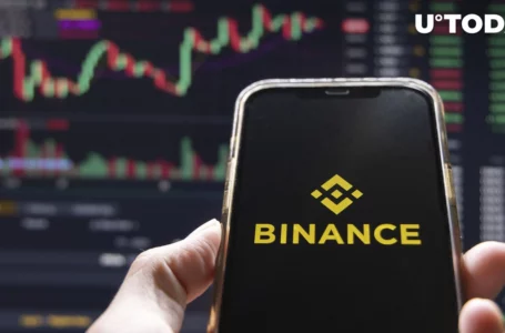 CryptoQuant CEO Analyzed Binance’s Holdings, Here’s His Conclusion