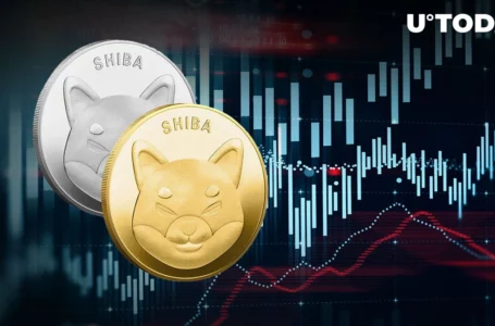 SHIB Trading Volume Jumps 28% as New Shibarium Hint Emerges