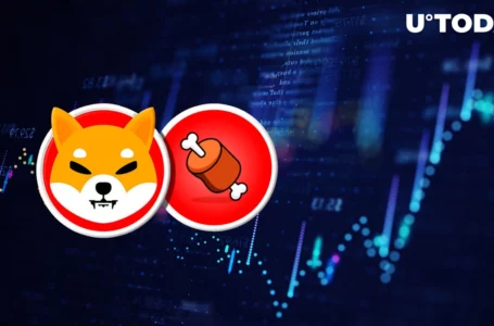 Shiba Inu’s BONE up 10% as Price Gains Ground Against BTC and ETH, Here’s Why