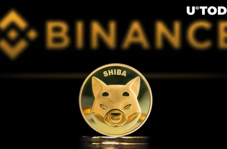Binance May Have Earned $21 Million on Shiba Inu and Sold 1 Trillion SHIB