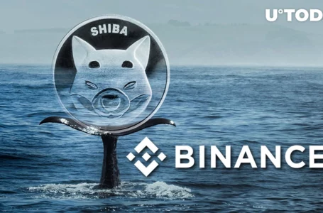Hundreds of Billions of Shiba Inu (SHIB) Sent to Binance – Are Whales Depositing Back?