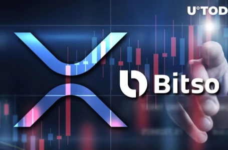 Dozens of Millions of XRP Moved by Ripple’s Key Partner Bitso, Here’s What Happened