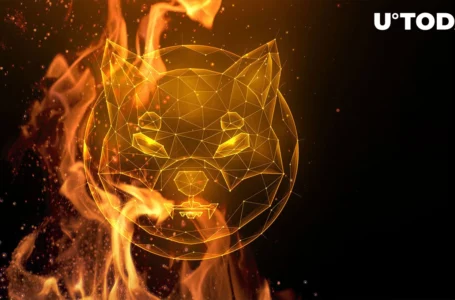 Shiba Inu Burn Rate Jumps 107% as Whales Sell $1 Million in SHIB