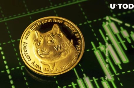 Dogecoin (DOGE) Enters Top 3 of Most Profitable Assets