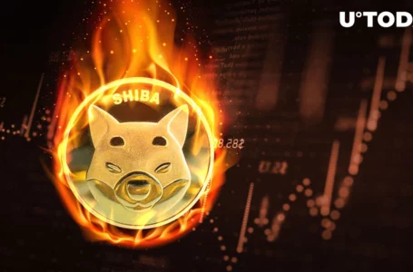 SHIB Burn Rate 225% Up As Shiba Inu Emerges Among Most Popular Smart Contracts