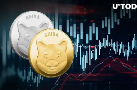 SHIB Trading Volume Jumps 128% as Price Nears Buying Support