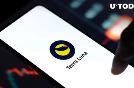 Number of Terra Classic (LUNC) Holders Changing in Unexpected Way
