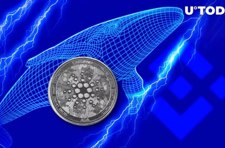 Cardano (ADA) Gets Into Largest BNB Chain Whales’ Top Purchases