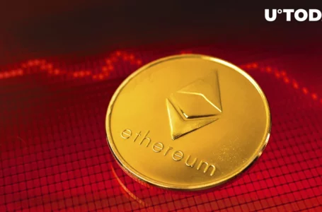 Ethereum’s (ETH) Profitability Plummets to 45% as Burning Mechanism Does Not Work