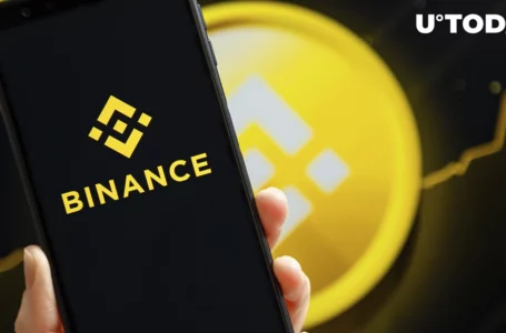 BNB Becomes Most Active Blockchain in Last 24 Hours Despite Binance FUD