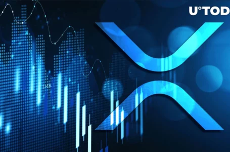 675 Million XRP on Move, While Price Drops 13% Within Week