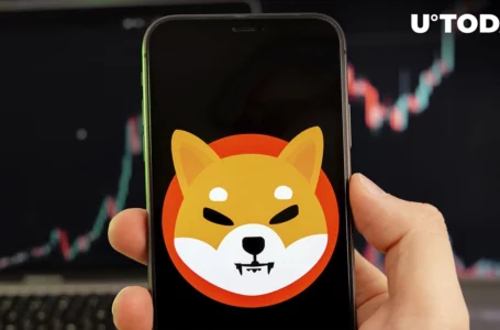 846 Billion Shiba Inu Wired as SHIB Hits These New Milestones