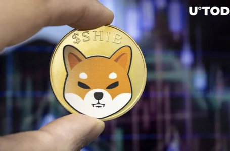 “Very Soon”: Shiba Inu Developer Provides Update on Shibarium