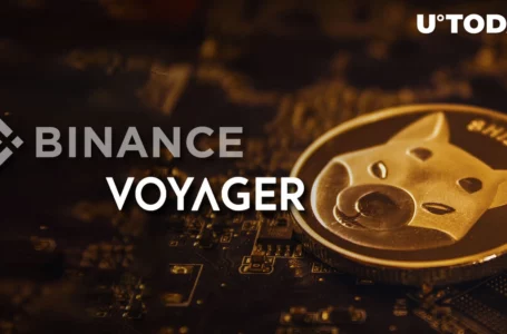 SHIB Worth Tens of Million of Dollars Found in Voyager’s Accounts Purchased by Binance.US