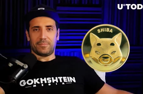 SHIB Better Make Comeback During Next Bull Run: David Gokhshtein