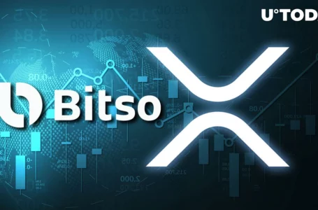 Tens of Millions of XRP Shoveled by Ripple Partner Bitso as XRP Drops 12% Weekly
