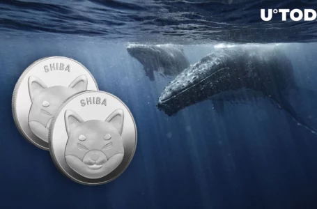 72.46 Billion SHIB Dumped by Biggest Whales Overnight