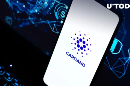 Cardano Smart Contracts Rose 394% in 2022, Here Are Highlights of Year