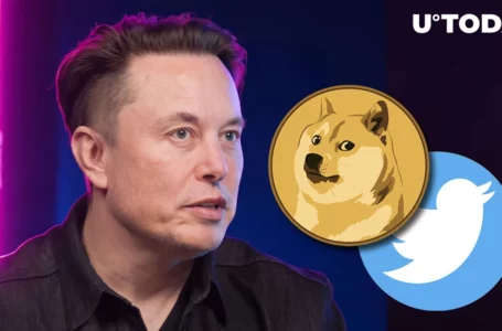 Elon Musk Says He May Talk to Doge Army Via Twitter Live Within Next 3 Days