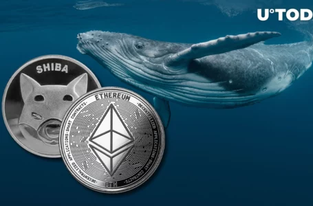 2 Reasons Why SHIB Sell-off by Ethereum Whales Is Both Good and Bad