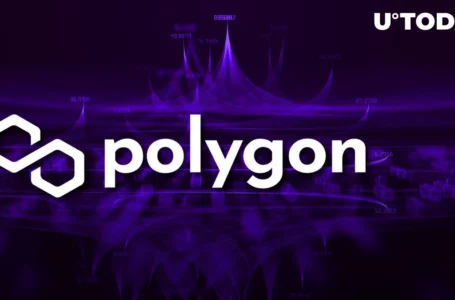 Polygon (MATIC) Beats Network Record Amid Launch of Last Testnet