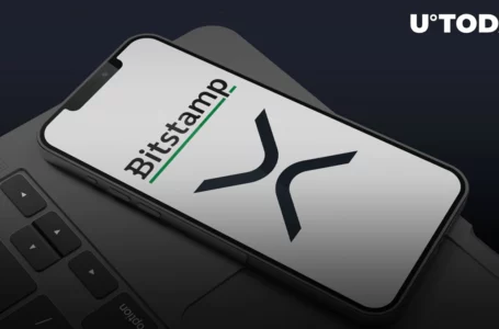 Millions of XRP Moved to Bitstamp as XRP Becomes Most Popular Smart Contract