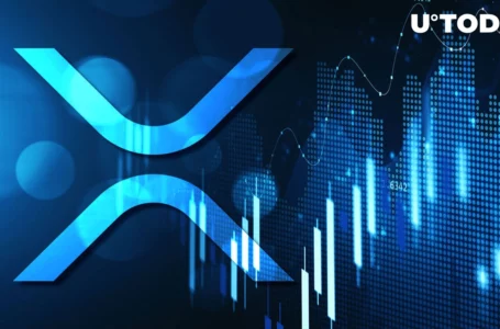 XRP Holder Number Reaches Major Milestone of 4.5 Million