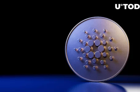 Here’s Unique New Feature on Cardano: Details