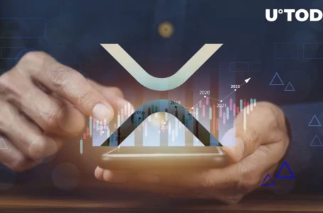 230 Million XRP on Move, While XRP Social Activity Hits 3-Month Peak