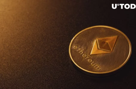 Most of Staked Ethereum (ETH) Handled By Only 4 Providers