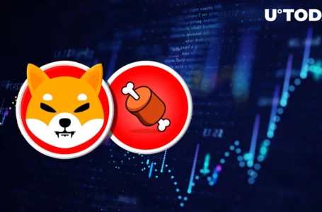 Shiba Inu’s BONE Up 10% in Time for Christmas