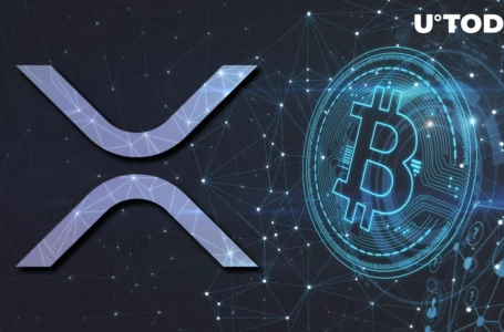 Self-Proclaimed Satoshi Calls XRP “The Most Useless Pump-and-Dump Scheme”