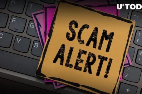 Scam Alert: Popular Crypto Wallet Compromised, $8 Million Stolen