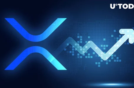 XRP Prints 7-Day High to Lead Altcoin Growth