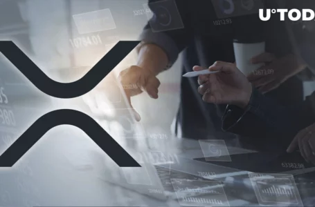 XRP Gains Unexpected Popularity Among This Group of Investors