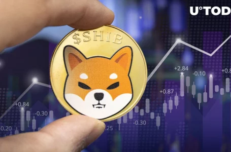 SHIB Gains 28% Against DOGE in December as Major Release Is Expected